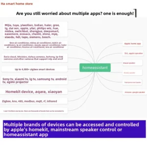 HomeAssistant Smart Home Box App Control Gateway