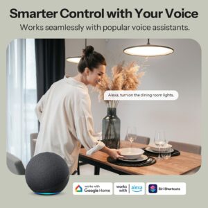 SONOFF MINI DUO 2-Gang Matter Over WiFi Smart Switch MINI-2GS