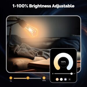 MOES Matter WiFi E27 Smart Edison LED Light Bulb