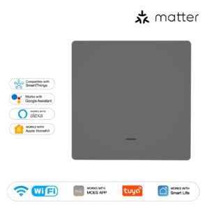 MOES Matter WiFi Smart Push Button Light Switch EU Version