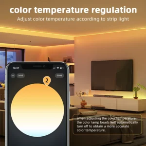 DOMRAEM Zigbee 3.0 Smart LED Controller 20A Max DC12-24V