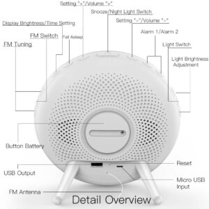 MOES WiFi Smart Wake-Up Light Alarm Clock with FM Radio