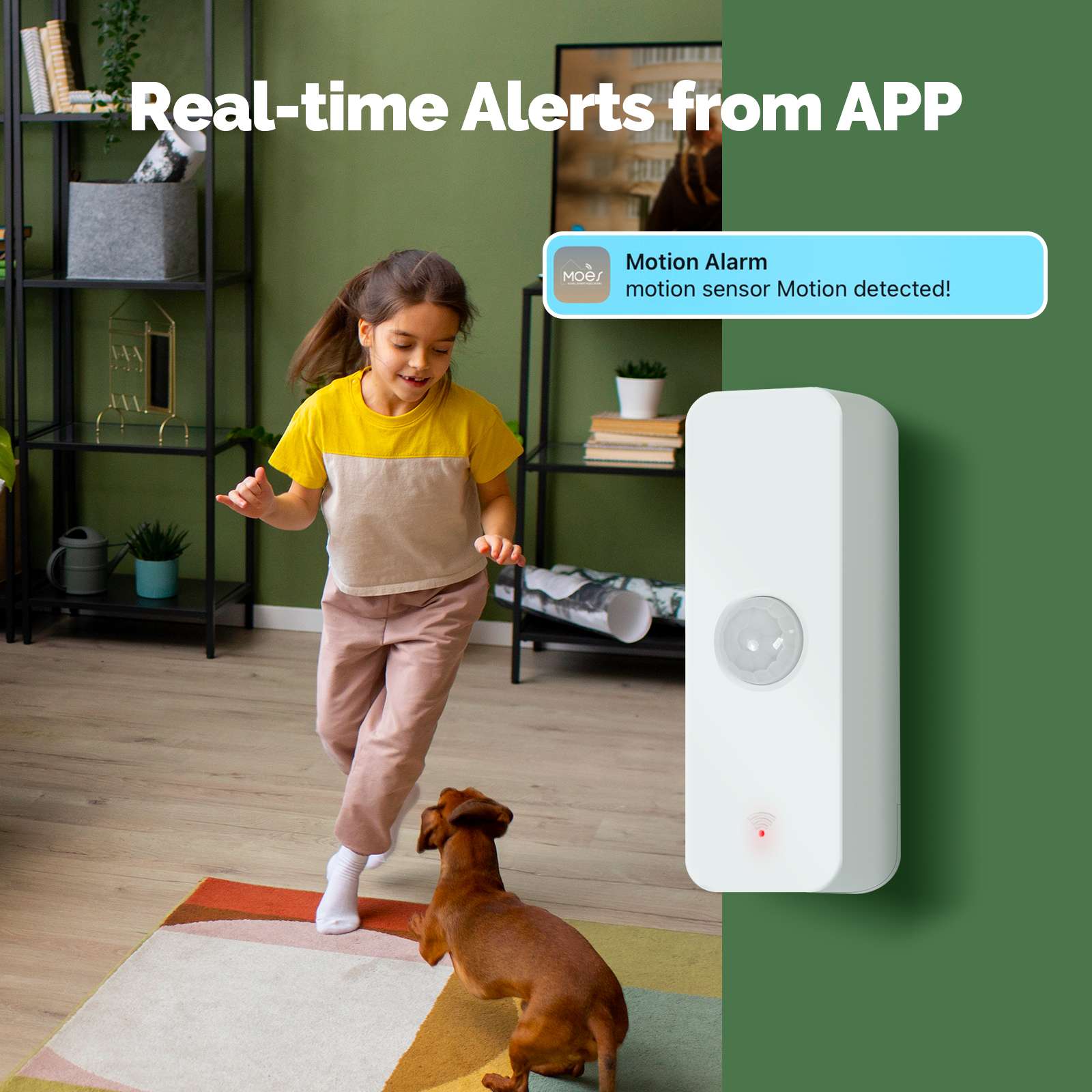 MOES Smart PIR Human Body Motion Detector Sensor