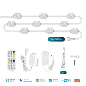 MOES WiFi Smart RGB Outdoor Eaves String LED Lights