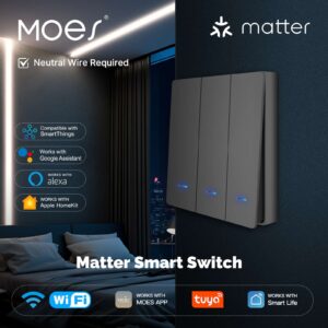 MOES Matter WiFi Smart Push Button Light Switch EU Version