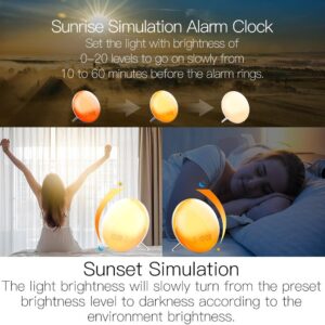 MOES WiFi Smart Wake-Up Light Alarm Clock with FM Radio