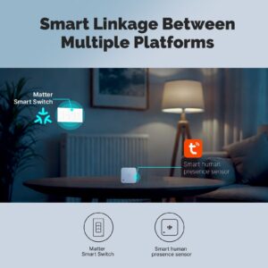 MOES WS-B-US Matter WiFi Smart Light Button Switch