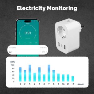 MOES WP-EU-C WiFi Smart Plug 16A EU Socket Outlet
