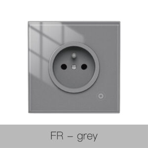 MOES ZigBee Smart Wall Socket with Glass Panel and Power Monitor