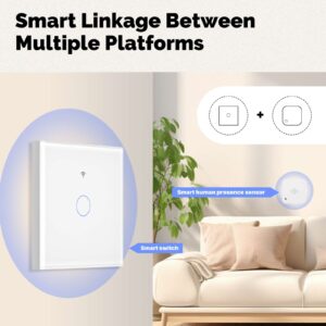 MOES Matter WiFi Smart Light Switch Glass Panel Neutral Wire Required
