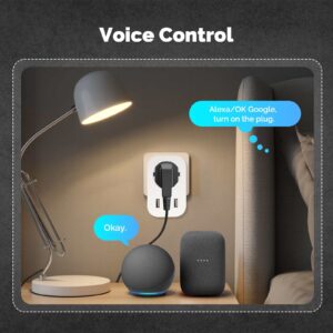 MOES WP-EU-C WiFi Smart Plug 16A EU Socket Outlet